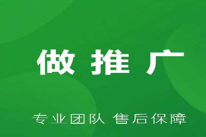 谷歌竞价广告与SEO结合的营销案例解析